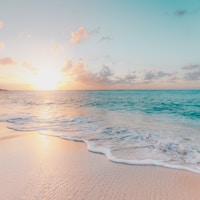 A day at the beach
